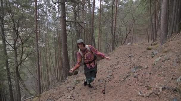 모자를 쓰고 배낭을 든 젊은 남자 여행자는 저녁 숲 속에서 재미있는 무희다. 산에서의 재미있는 관광 과좋은 기분의 개념 — 비디오