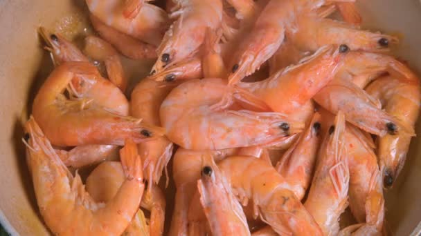 Velké tygří krevety se rozmrazují na pánvi. Detailní záběr. Přípravná fáze před vařením. — Stock video