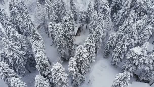 Vista aérea de un bosque invernal nevado durante una nevada bosques de montaña de coníferas. Fondo de invierno con efecto de paralaje hacia adelante y nevadas reales — Vídeos de Stock