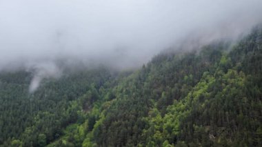Zaman çizelgesi yeşil dağ yamaçları sisle kaplı ormanlarla kaplı bulutlar yağmur altında ve sonrasında. Dağlardaki değişen hava gizemli sis.