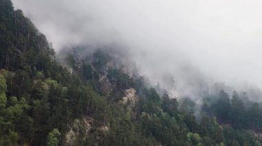 Zaman çizelgesi yeşil dağ yamaçları sisle kaplı ormanlarla kaplı bulutlar yağmur altında ve sonrasında. Dağlardaki değişen hava gizemli sis.