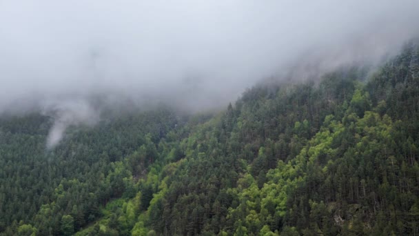 Timelapse encostas de montanha verdes cobertas de floresta com nevoeiro e restos nelas nuvens na chuva e depois dele. Mudando o tempo nas montanhas nevoeiro místico — Vídeo de Stock
