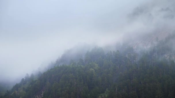 随着时间的流逝，绿色的山坡上覆盖着森林，在雨中和雨后的云雾和残余物笼罩着。山中变化无常的天气神秘的雾 — 图库视频影像