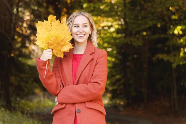 Retrato de uma jovem loira atraente em um casaco vermelho com um buquê de folhas amarelas na mão. O conceito de sonhar com caminhadas florestais durante uma pandemia de vírus. Moda de outono na floresta — Fotografia de Stock