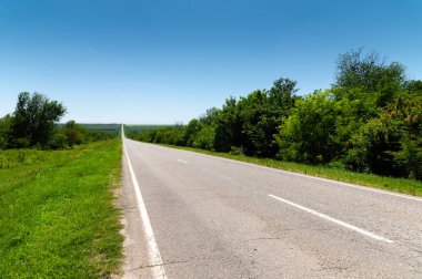 Banliyöde ağaçlar ve otlarla çevrili boş yol asfaltı. Ulaşım ve seyahat kavramı. Arkaplan yeşil çimen asfalt ve mavi gökyüzü