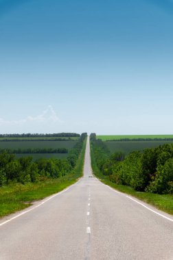 Banliyöde ağaçlar ve otlarla çevrili boş yol asfaltı. Ulaşım ve seyahat kavramı. Arkaplan yeşil çimen asfalt ve mavi gökyüzü
