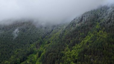 Kuyruk kanatları dik dağ yamaçları sonsuz yeşil ormanlarla kaplıdır ve alçak bulutların aktığı karla kaplıdır. Dağlarda 4K bulut hareketi