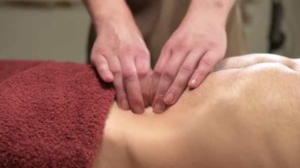 Masajista masculino de primer plano masajea el estómago del cliente mientras le da un masaje de los intestinos y el área abdominal a un atleta cliente masculino — Vídeos de Stock