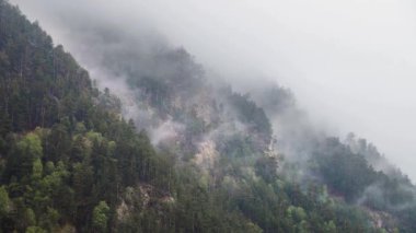 Kuyruk kanatları dik dağ yamaçları sonsuz yeşil ormanlarla kaplıdır ve alçak bulutların aktığı karla kaplıdır. Dağlarda 4K bulut hareketi