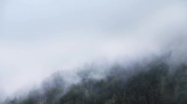 Kuyruk kanatları dik dağ yamaçları sonsuz yeşil ormanlarla kaplıdır ve alçak bulutların aktığı karla kaplıdır. Dağlarda 4K bulut hareketi