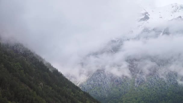 Taillaps steep mountain slopes covered with eternally green forest and powdered with snow on which low clouds flow. 4K cloud movement in the mountains — Stock Video