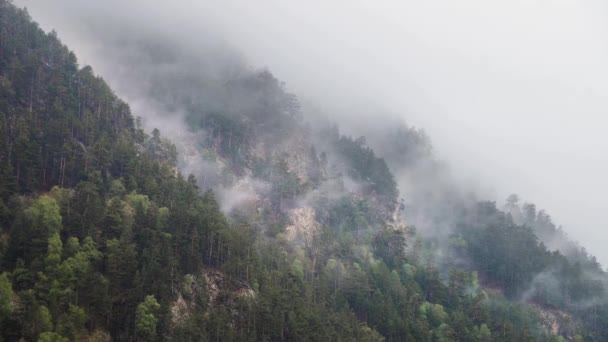 山崖陡峭的山坡上覆盖着永绿的森林，白雪铺满，低云在上面飘扬。4K云在群山中的移动 — 图库视频影像