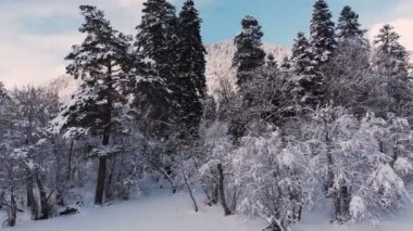 Dağlardaki kış ormanlarının ortasında aynalı duvarları olan yenilikçi yüksek teknolojili bir evin havadan görünüşü. Dağlardaki eko turizm kavramı. Doğadaki modern mimari rezervleri