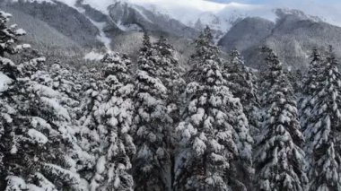 Kış dağ manzarası, Kafkas dağlarındaki karla kaplı kozalaklı ormanın havadan görünüşüdür..