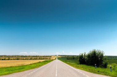 Banliyöde ağaçlar ve otlarla çevrili boş yol asfaltı. Ulaşım ve seyahat kavramı. Arkaplan yeşil çimen asfalt ve mavi gökyüzü