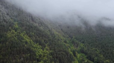 Zaman sarp dağ yamaçları sonsuz yeşil ormanlarla kaplı ve alçak bulutların aktığı karla kaplı. Dağlarda 4K bulut hareketi