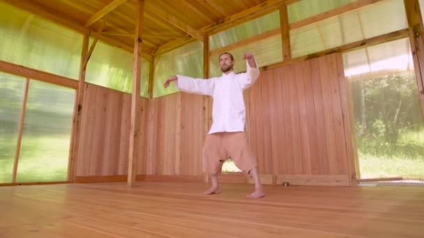 Uzun sarı saçlı, beyaz sakallı bir adam yaz ormanındaki ahşap çalışma odasında qigong ve taichi yapıyor. Avrupa topraklarında dövüş sanatları uygulaması — Stok video