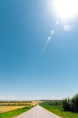 Yaz günü boş bir kır yolu. Kenarlarında yeşil orman ve yeşillik bitkileri var.