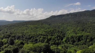 Vadinin ve tepelerin üzerindeki uçuşun havadan görünüşü yaz güneşli bir günde yaprak döken ormanla kaplıydı.