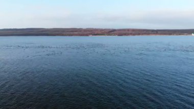 Akşamları gölün yüzeyinde yüzen bir ördek sürüsünün havadan görüntüsü. Vahşi ördekler ve koruma önlemleri kavramı