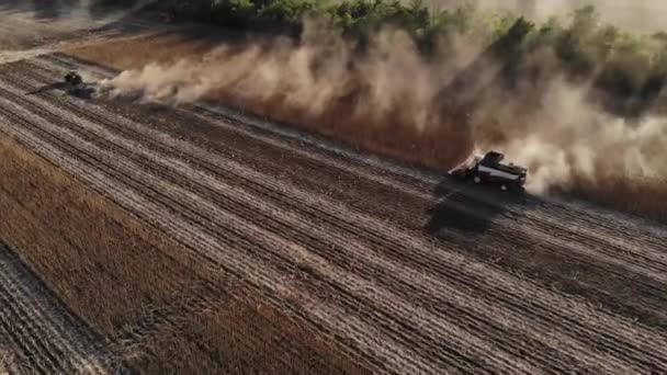 Vista aérea de varias cosechadoras en un campo de girasoles. Cosecha de semillas de girasol para la producción de aceite de girasol — Vídeos de Stock