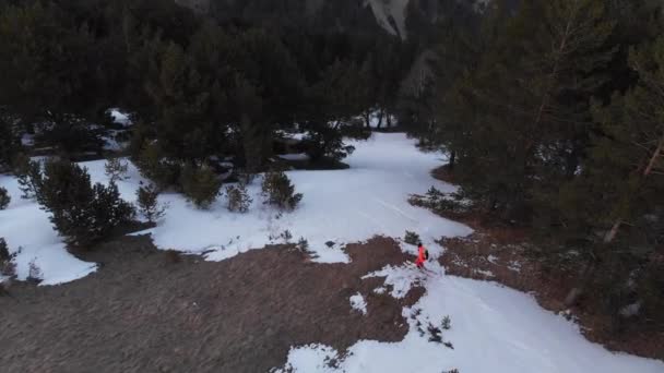 Widok z lotu ptaka na skrajnego narciarza na trawie na stoku, gdzie nie ma śniegu. Innowacyjny typ narciarstwa na suchej trawie — Wideo stockowe