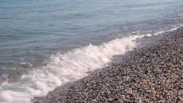 Uma praia deserta de manhã em tons azuis, pequenas ondas rolam sobre a costa arenosa. Olhar sobre o mar — Vídeo de Stock