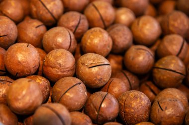 Macadamia fındık dokusu. Bir sürü taze soyulmamış çiğ macadamia fındığı. Kavrulmuş macadamia fındığı yığınına yakın çekim - üst manzara.