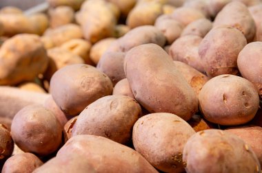 Sebze dükkanının tezgahında bir sürü çiğ patates var. Sağlıklı ve doğal ürünler. Çiftlik gıda üretimi.