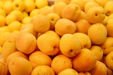 Taze, çekici, iştah açıcı kayısılar. Tezgahta bir sürü kayısı var..