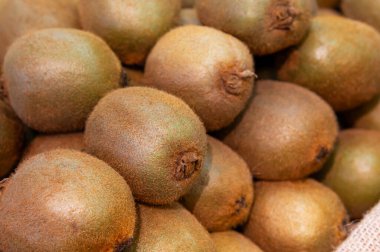 Mağazanın tezgahında bir sürü kivi meyvesi var. Yakın plan. seçici odak.