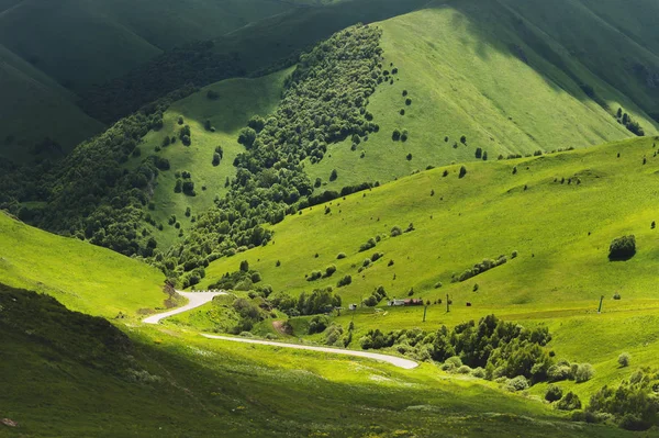Paesaggio Estivo Soleggiato Con Strada Asfaltata Circondata Da Colline E Prati Selvaggio Viaggio Stock Photo 226485946