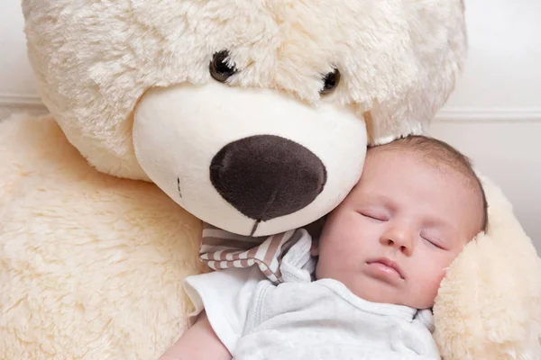 Мальчик, спящий с большим медвежонком — стоковое фото