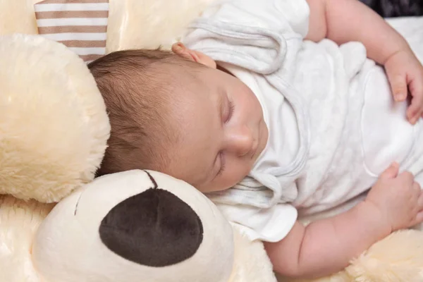 Baby pojke sova med stor nallebjörn — Stockfoto