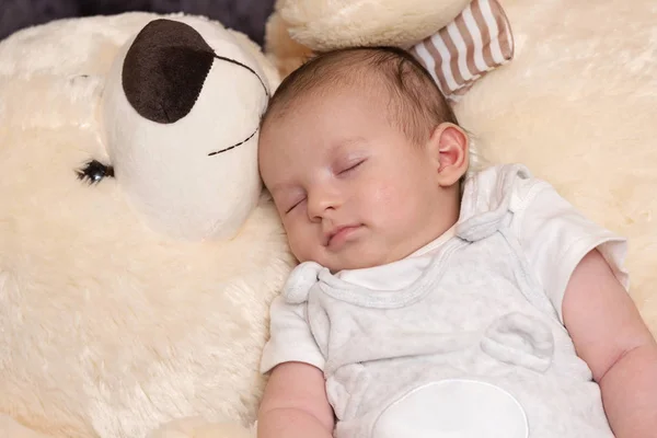 Мальчик, спящий с большим медвежонком — стоковое фото