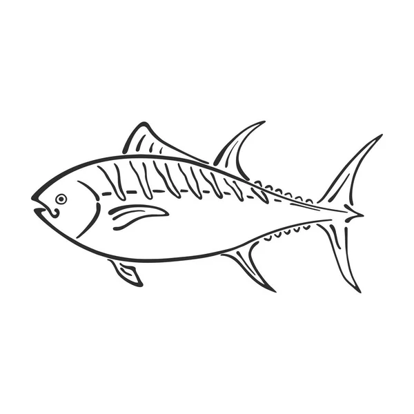 Kövér tonhal absztrakt tinta kézzel rajzolt vektoros logo karikatúra karakter. Egyszerűsített retro illusztráció. Óceán- és tengeri állat görbe festék jele. Doodle vázlat. Eleme, design, tapéta, nyomtatás a szövet. Tonhal — Stock Vector