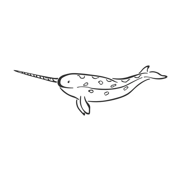 Narval personagem baleia tinta abstrata mão desenhada desenho animado logotipo vetor. Ilustração retrô. Mamífero selvagem marinho. Oceano e mar animal curva pintura sinal. Esboço Doodle. Elemento para design, impressão de tecido . —  Vetores de Stock