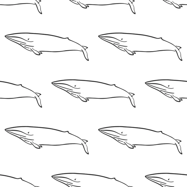 Carácter de ballena abstracto dibujado a mano vector patrón sin costura. Retro ilustración. Mamífero salvaje marino. Signo de pintura curva océano y mar animal. Boceto de Doodle. Elemento para el diseño, papel pintado, impresión de la tela . — Vector de stock