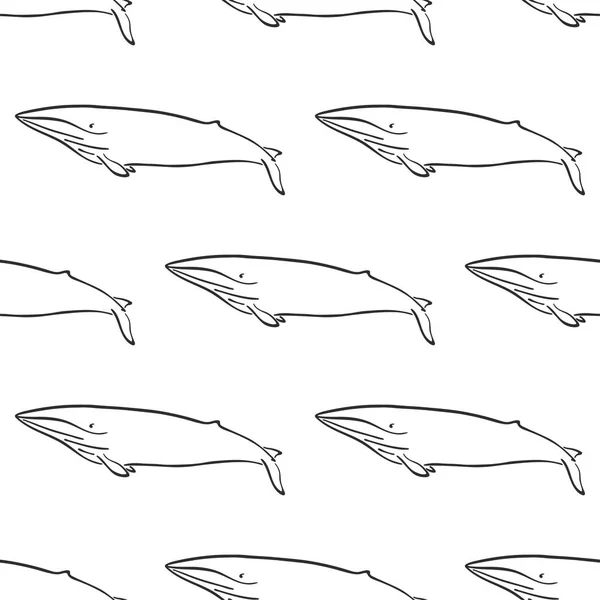 Whale character abstract hand drawn vector seamless pattern. Retro illustration. Marine wild mammal. Ocean and sea animal curve paint sign. Doodle sketch. Element for design, wallpaper, fabric print. — 스톡 벡터