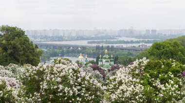 Leylak çiçeği botanik bahçesinde Kiev ile Vydubychi Manastırı ve Dnipro Nehri'nin bahar bakış