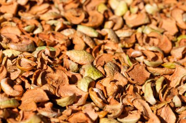 Arka plan küçük kurutulmuş elma dilimleri