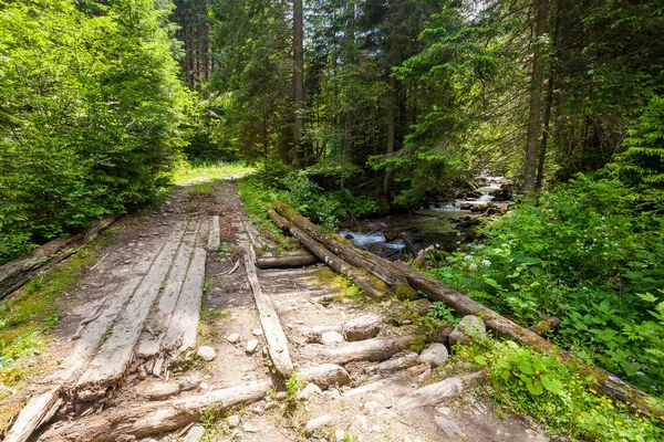 Hiking trail, Carpathians — Stock Photo, Image