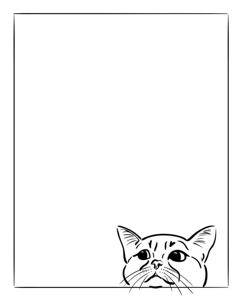 Kedi çerçevelemek--dan seyir. Vektör grafik illüstrasyon.