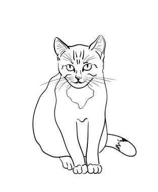 Kedi beyaz arka plan üzerinde. Yarım yamalak düz stil. Grafik illüstrasyon vektör el çekilmiş. 