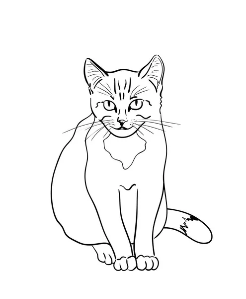 Kedi beyaz arka plan üzerinde. Yarım yamalak düz stil. Grafik illüstrasyon vektör el çekilmiş. 