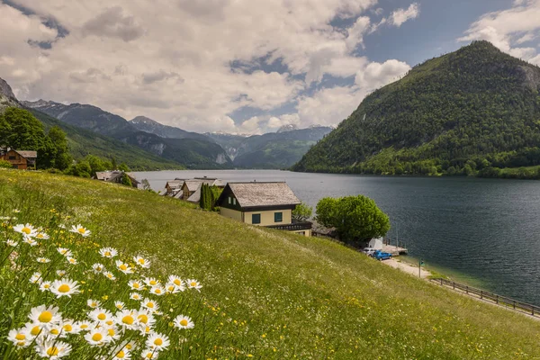 Letni Krajobraz Kwitnienia Pola Góry Jeziora Grundlsee Styria Austria — Zdjęcie stockowe