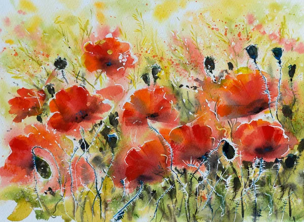Water color red poppy flowers painting. Flowers in soft color and blur style for background