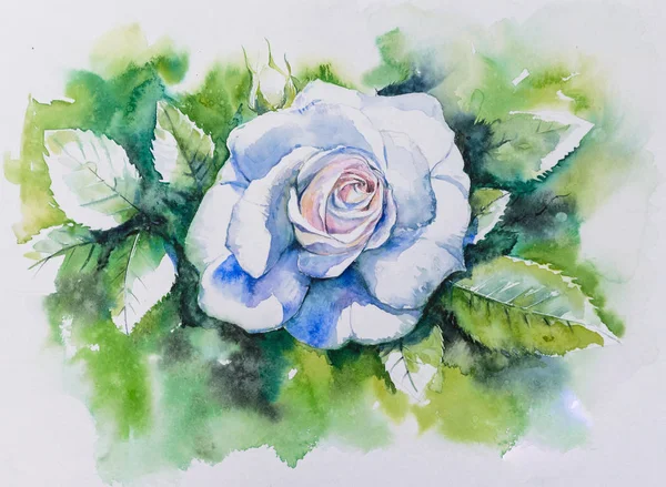 Portret Van Een Witte Roos Zomertuin Foto Gemaakt Met Aquarellen — Stockfoto