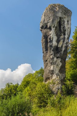 Kireçtaşı monadnock rock Pieskowa Skala Krakow, Polad yakınındaki 