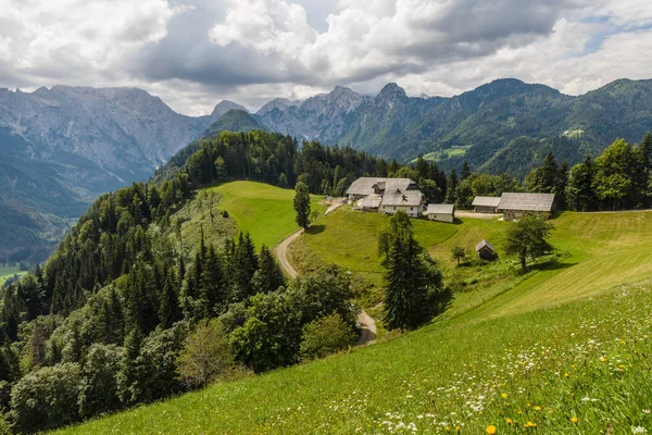 Sonnige Sommerlandschaft Mit Solcava Panoramastraße Logarska Dolina Slovenia Beliebtes Touristen — Stockfoto